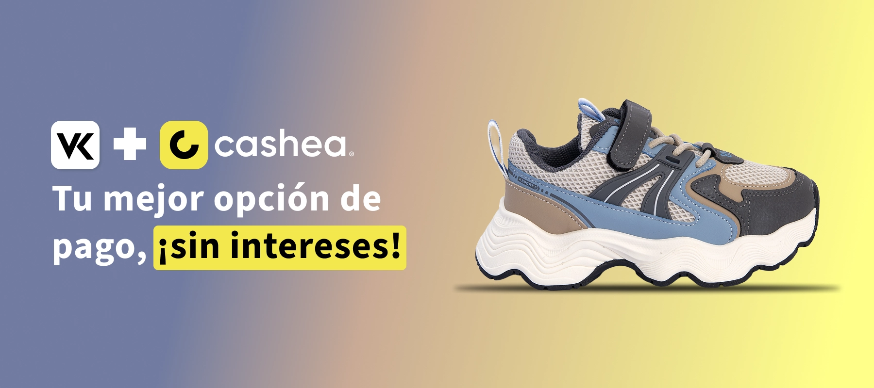 bannercasheaVita.webp